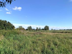 Siedlisko na sprzedaż Wilamów gm. Uniejów