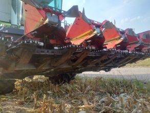 Przystawka do kukurydzy Olimac Drago 2, 2012r. 5 rzędowa.