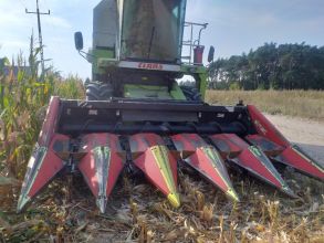 Przystawka do kukurydzy Olimac Drago 2, 2012r. 5 rzędowa.