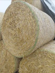 Słoma 125x125 po prasie pasowej