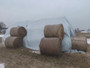 Słoma 125x125 po prasie pasowej