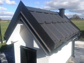 Buda dla psa (domek,elewacja)