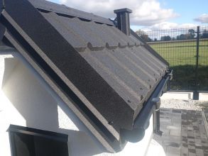 Buda dla psa (domek,elewacja)