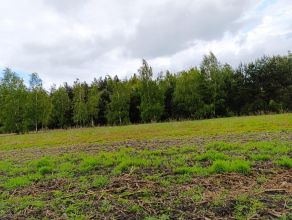 Sprzedam działki budowlane