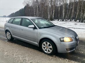 Audi a3 8p 1.9 tdi 105 km
