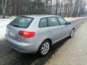 Audi a3 8p 1.9 tdi 105 km