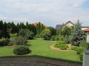 Wynajmę lub sprzedam dom