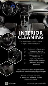 Profesjonalne czyszczenie wnętrz samochodów