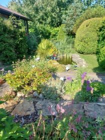 Sprzedam działkę ROD