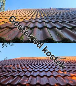 Czyszczenie kostki z odsysaniem błota, odgrzybianie...