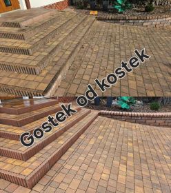 Czyszczenie kostki z odsysaniem błota, odgrzybianie...