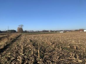 Działki budowlane powiecie k. KOŁA