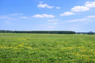 Działki budowlane - Budki Stare k. KOŁA