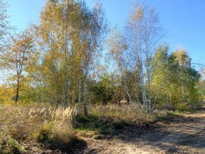 Działka budowlana na sprzedaż - Kałek gm. Krzymów