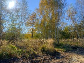 Działka budowlana na sprzedaż - Kałek gm. Krzymów