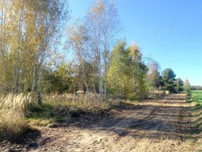 Działka budowlana na sprzedaż - Kałek gm. Krzymów