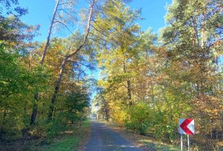 Działka na sprzedaż - Nowe Paprockie Holendry gm. Krzymów
