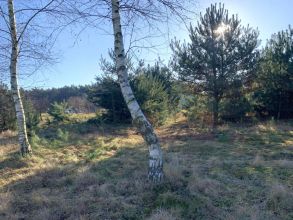 Działki budowlane - Olimpia gm. Brudzew