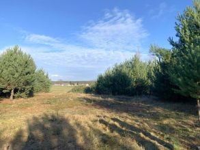 Działki budowlane - Olimpia gm. Brudzew