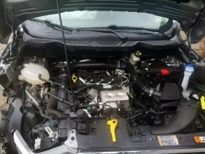 FORD EcoSport II 1,0 i 125KM Trend Klima Ecoboost