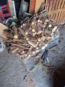 Sprzedam drzewo opałowe