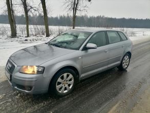 Okazja audi a3 8p 1.9 tdi