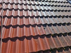 Mycie i malowanie dachów