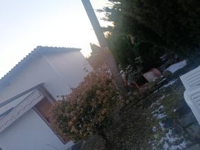 Sprzedam Działkę Rod Górnik