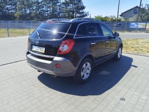 Sprzedam opla antare