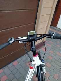 Rower elektryczny Pegasus