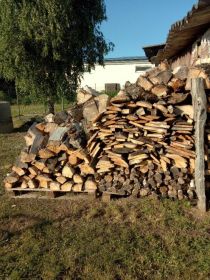 Sprzedam około 4m3 drewna opałowego liściastego