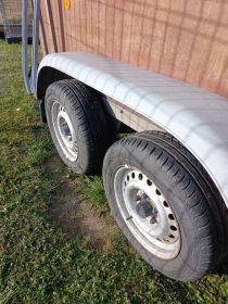 Przyczepa do przewozu koni Bockmann