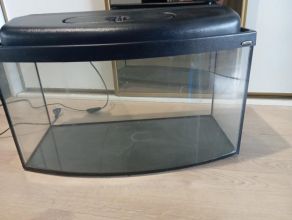 akwarium okolo 50 litrow