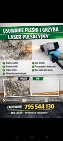 Laserowe usuwanie pleśni i grzyba