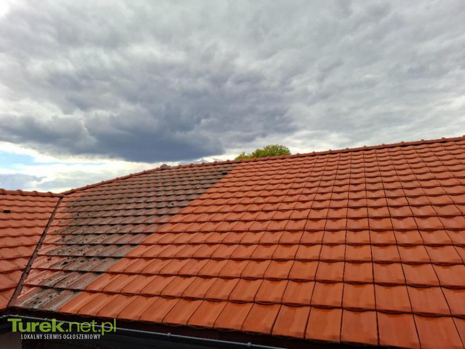 Mycie i malowanie dachów