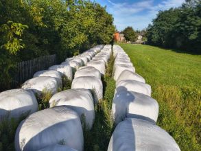 Sianokiszonka 130cm (pierwszy pokos) (2025)