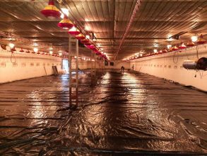 Posadzki wylewki maszynowe, płynny styropian, styrobeton