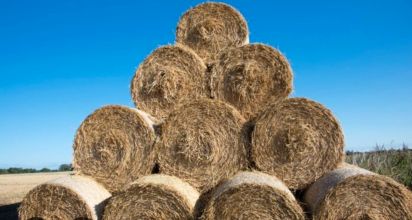 Sprzedam tanio słomę