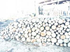 Sprzedam drewno opałowe sosnowe 5 metrów