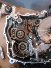 Naprawa Serwis Skutery, Quady,Motorowery, Dojazd, Transport