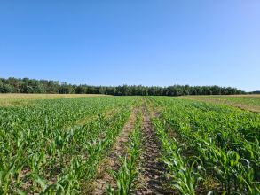 Nieruchomość rolna