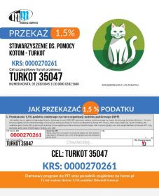 Oddaj swój procent na ratowanie kotów