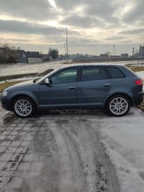Audi A3 8P Sportback