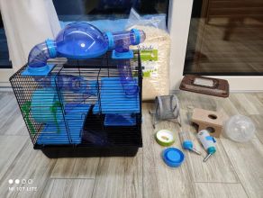 Klatka dla chomika + akcesoria