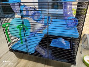 Klatka dla chomika + akcesoria