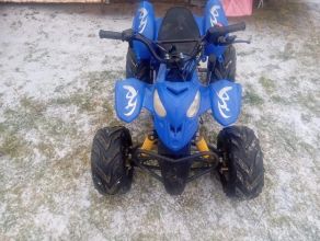 Sprzedam Quada 110