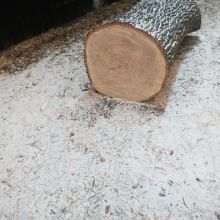 Sprzedam dęba w całości na schody...