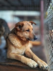 Linda - delikatna dusza szuka swojego człowieka!