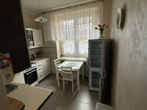 do wynajęcia kawalerka