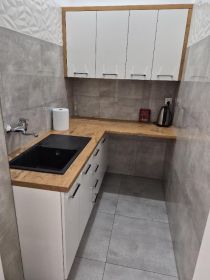 Lokal na działalność